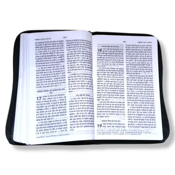 Hindi Korean Printed Bible Golden Edge With Zip