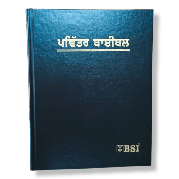 Pulpit Punjabi Bible (7)