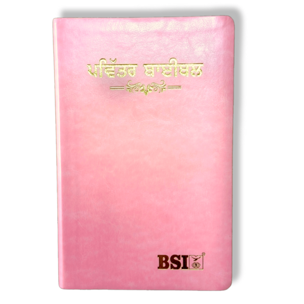 Punjabi Large Printe Bible In Pink (1)