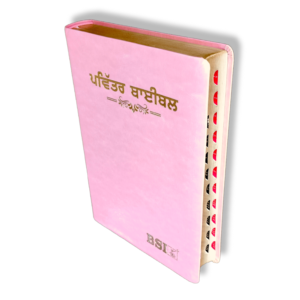 Punjabi Large Printe Bible In Pink (5)