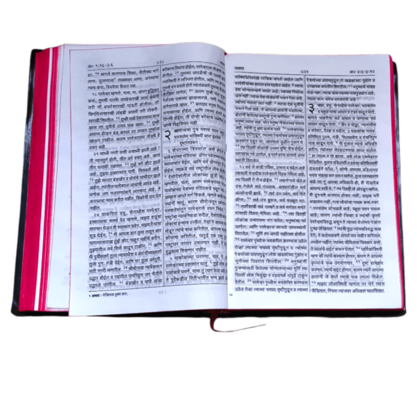Marati Bible (6)