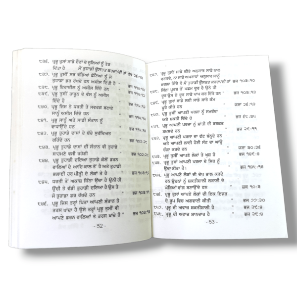 Punjabi Book (3)