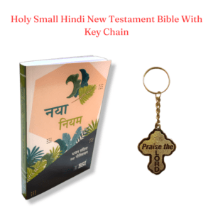 Small Hindi New Testament Bible