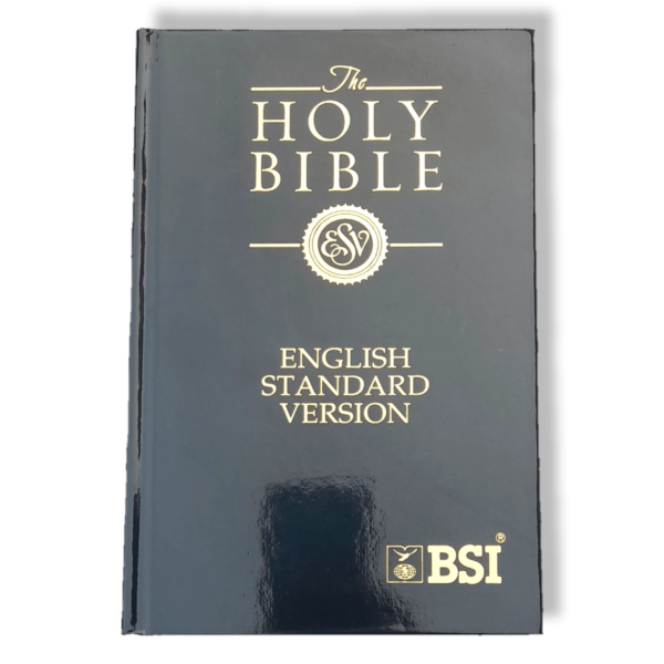 Esv Compact Bible key chain