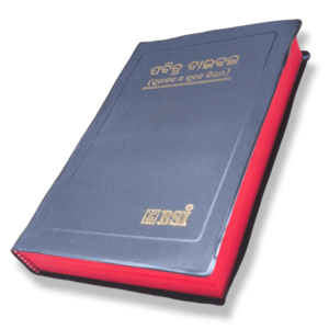 Odiya Bible (2)