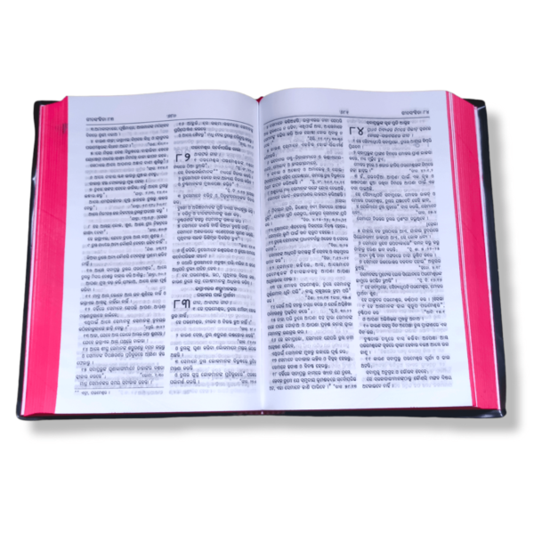 Odiya Bible (7)