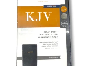 Kjv Holy Bible , Giant Print Thinline Bible (2)