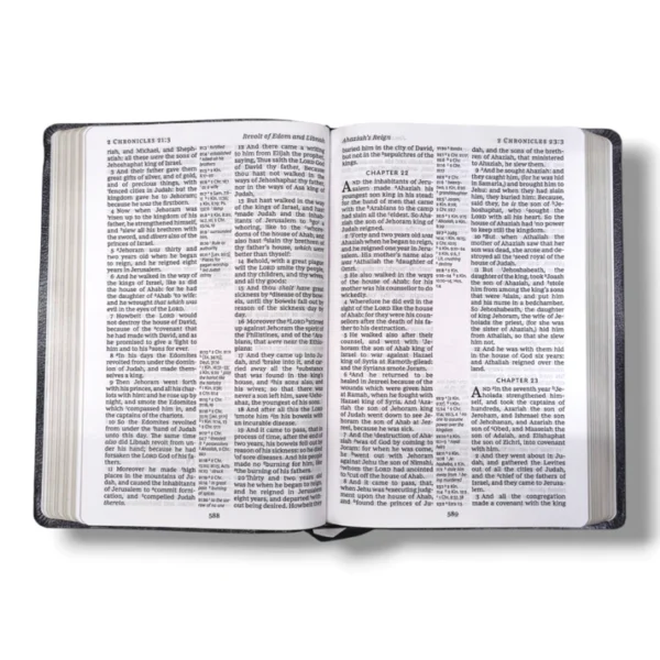 Kjv Holy Bible , Giant Print Thinline Bible (6)