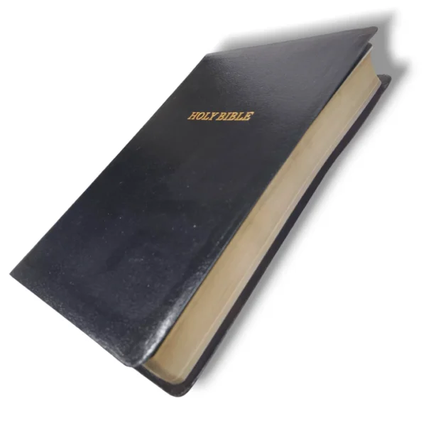 Kjv Holy Bible , Giant Print Thinline Bible (7)