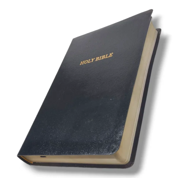Kjv Holy Bible , Giant Print Thinline Bible (9)