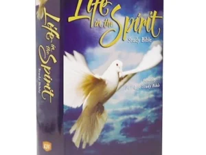 Life In The Spirit Study Bible (10)