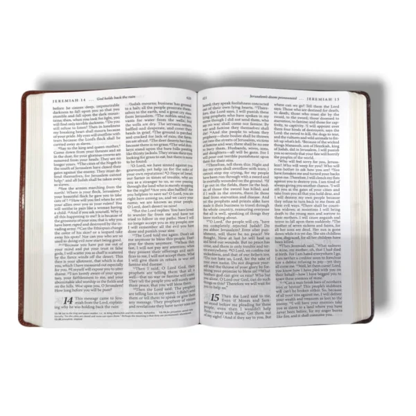Living Bible Large Print Edition (2)