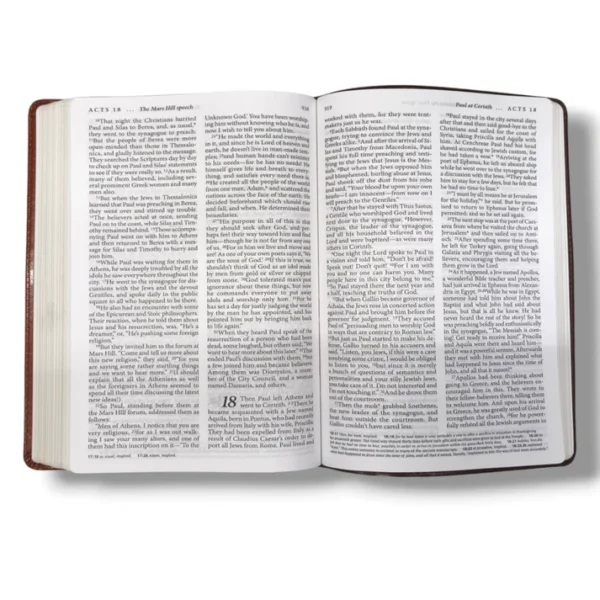 Living Bible Large Print Edition (3)