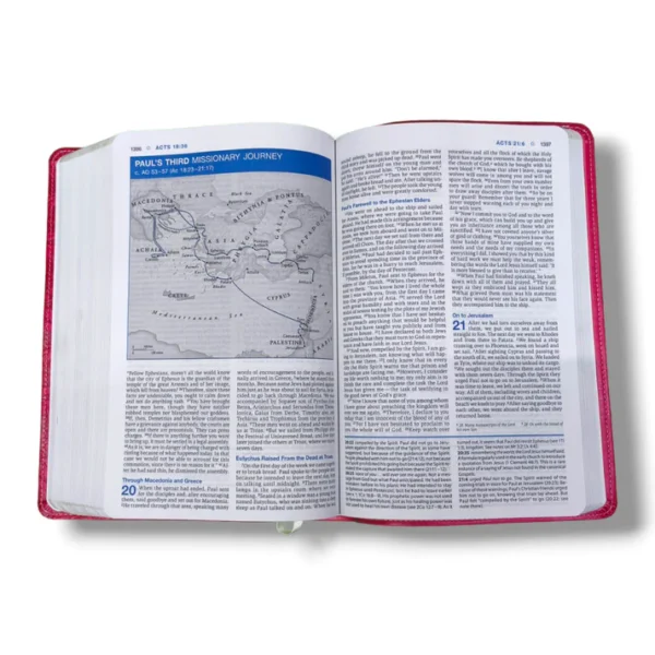 Niv Essentials Study Bible (3)