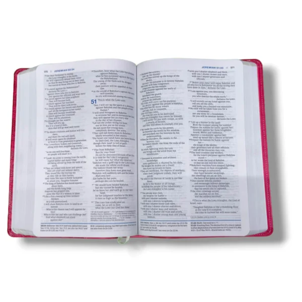 Niv Essentials Study Bible (5)