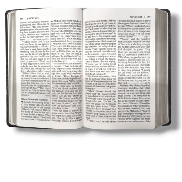 Niv Reference Bible (3)