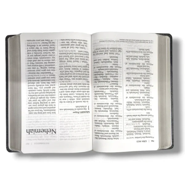 Niv Reference Bible (5)