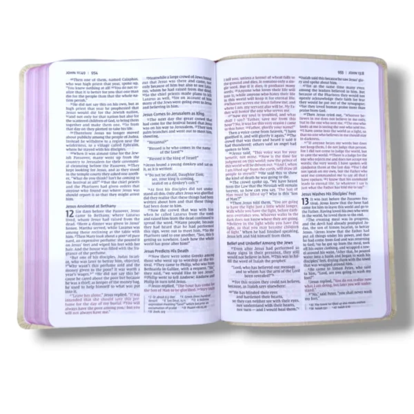 Niv Thinline Bible (3)