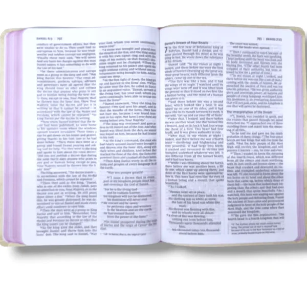 Niv Thinline Bible (4)