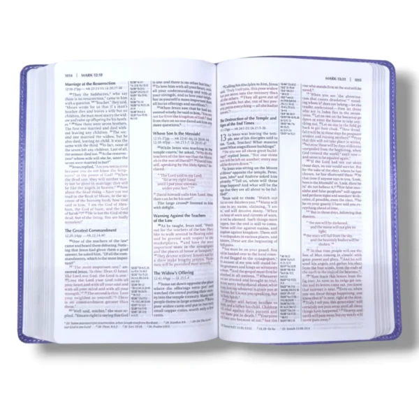 Niv Thinline Reference Bible (4)