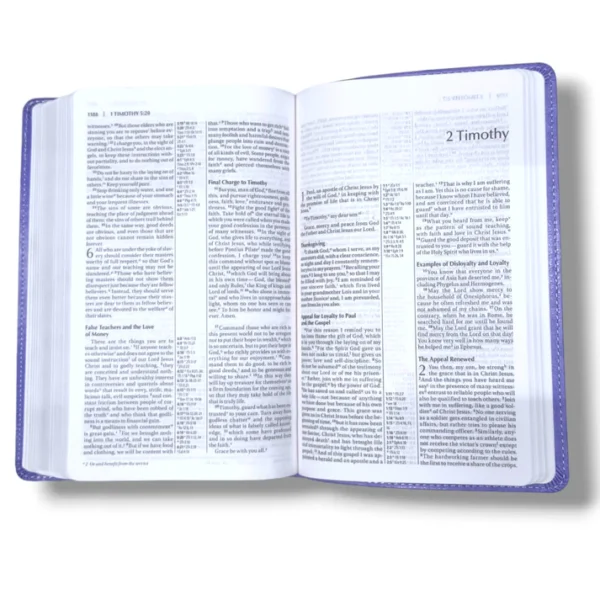 Niv Thinline Reference Bible (5)