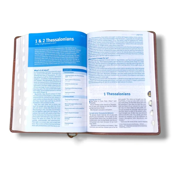 Nlt Christian Basics Bible (4)