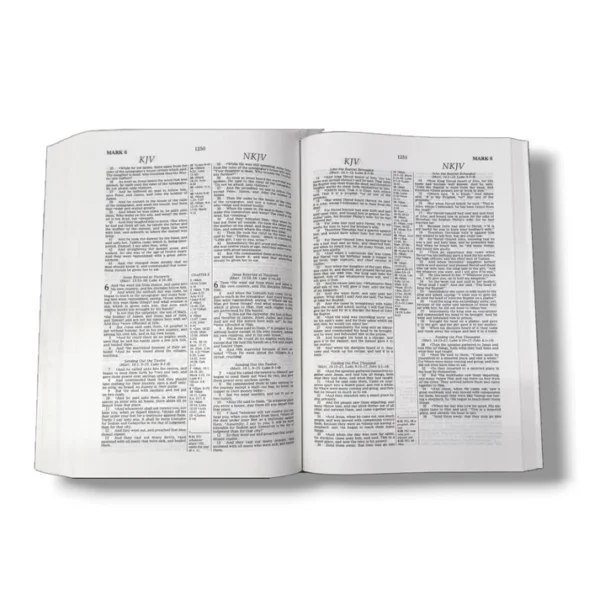 Parallel Bible Kjvnkjv (4)