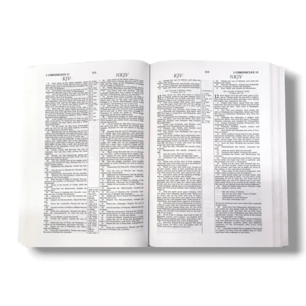 Parallel Bible Kjvnkjv (6)