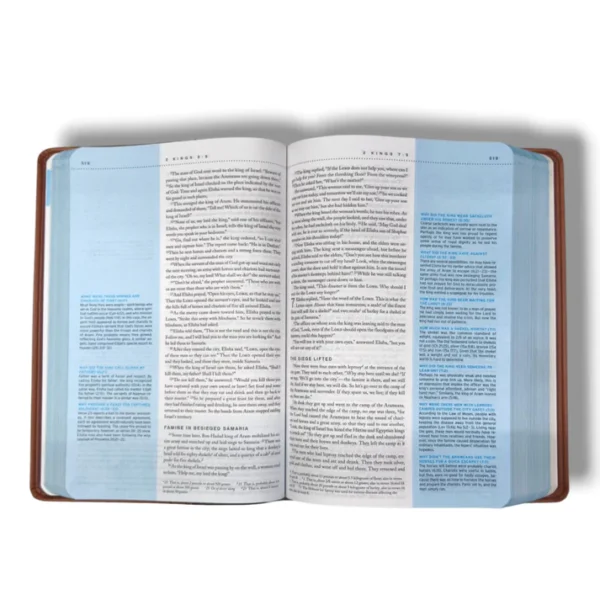 Quest Study Bible (3)