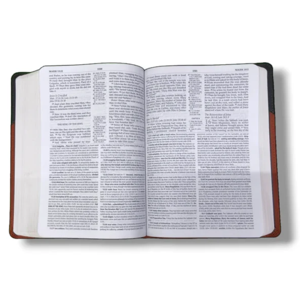 The Macarthur Study Bible (2)