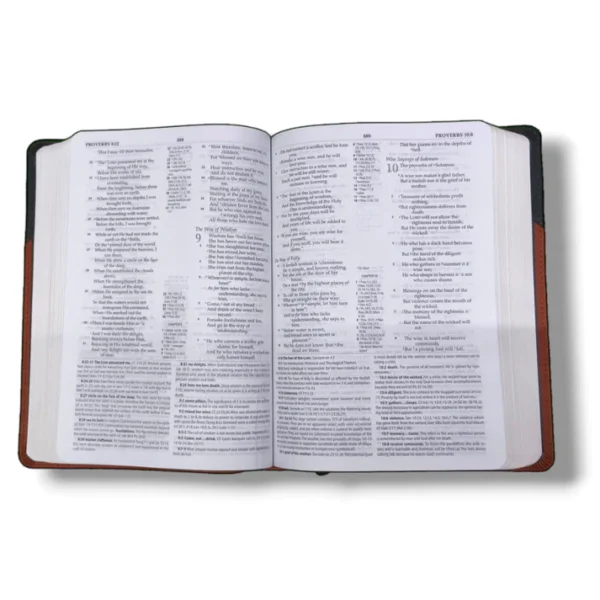 The Macarthur Study Bible (4)