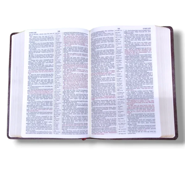 The Master Study Bible King James Version (5)