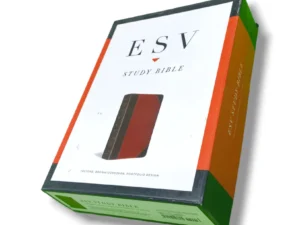 Esv Study Bible (9)