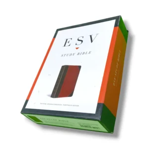 Esv Study Bible (9)