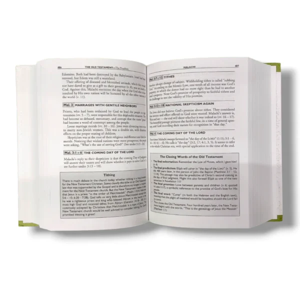 Halley's Bible Handbook (4)