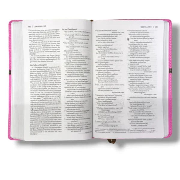 Holy Bible Niv Pink (5)
