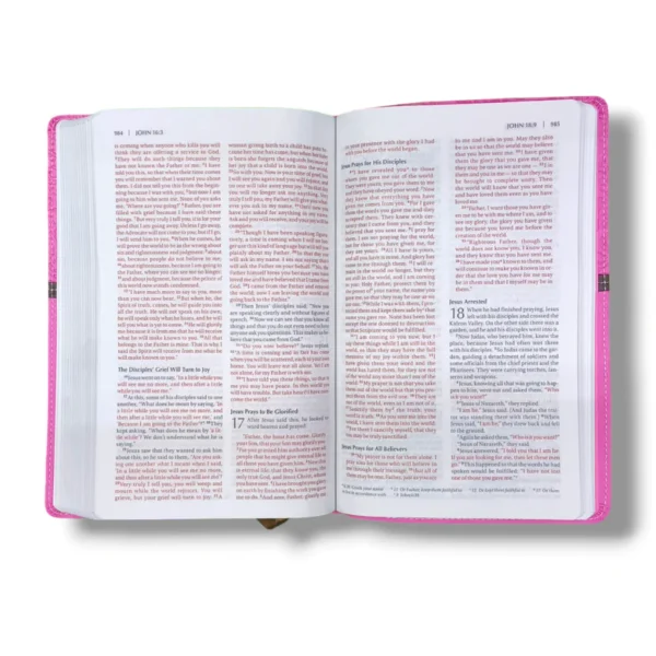 Holy Bible Niv Pink (6)