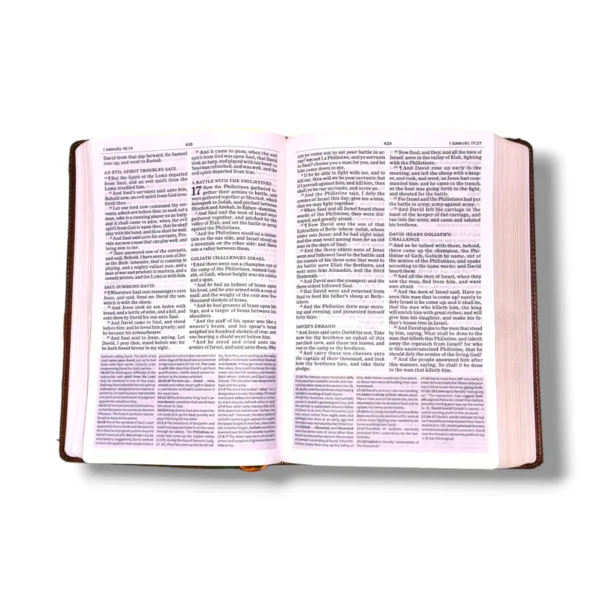 Kjv Everyday Study Bible (3)