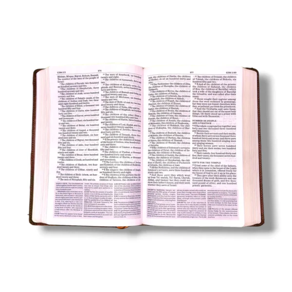 Kjv Everyday Study Bible (4)