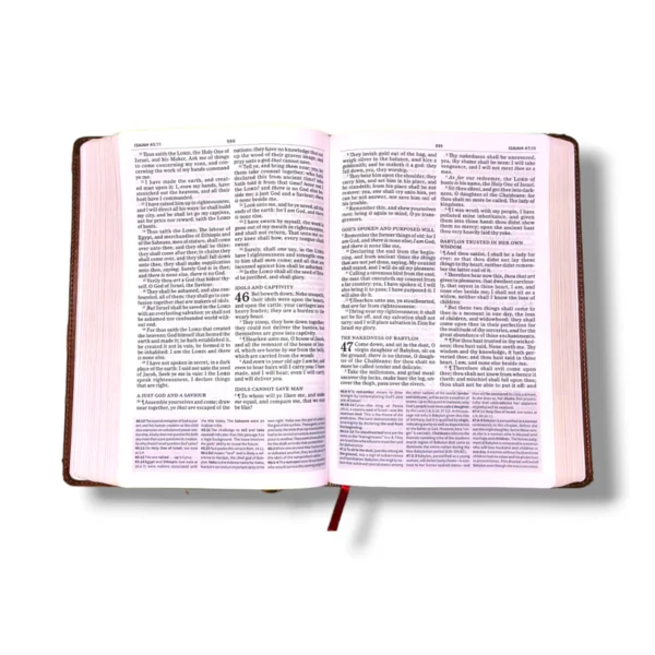 Kjv Everyday Study Bible (5)