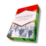 Kjv Everyday Study Bible (9)
