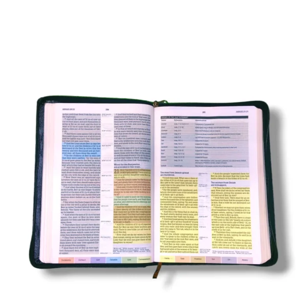 Kjv Holman Rainbow Study Bible (1)