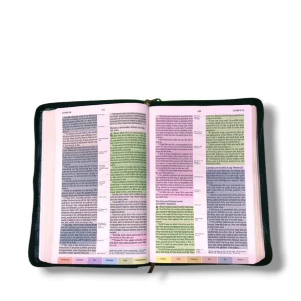 Kjv Holman Rainbow Study Bible (2)