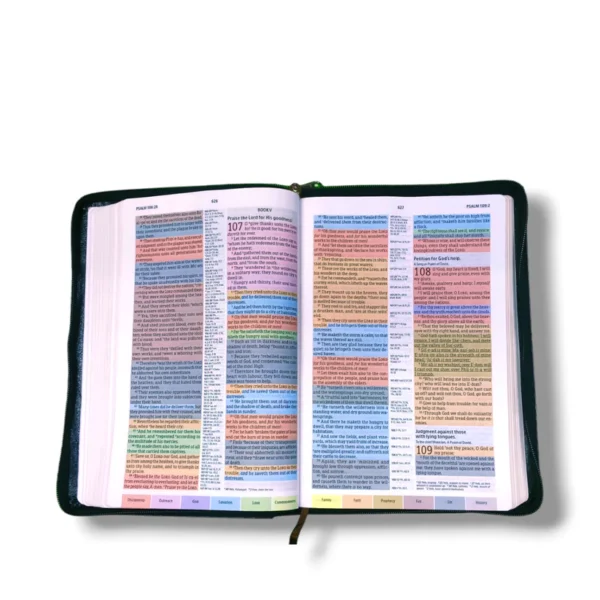 Kjv Holman Rainbow Study Bible (3)