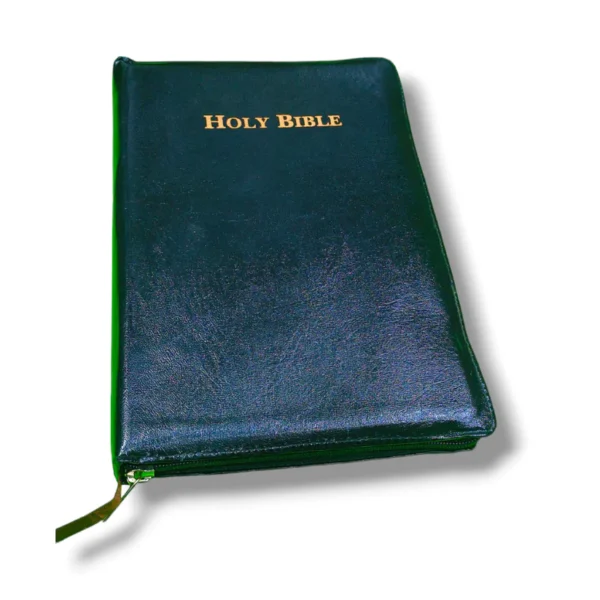 Kjv Holman Rainbow Study Bible (4)