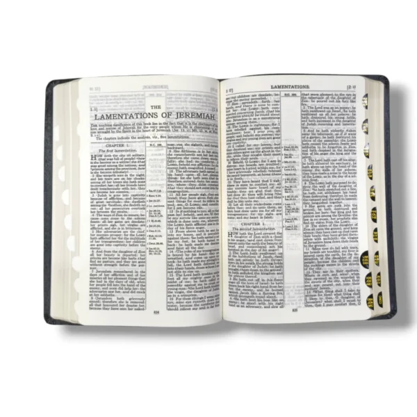 Kjv Old Scofield Study Bible (10)
