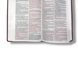 Kjv Value Large Print Thinline Bible (2)