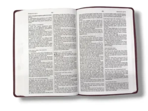 Kjv Value Large Print Thinline Bible (3)