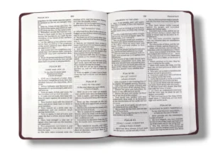 Kjv Value Large Print Thinline Bible (4)