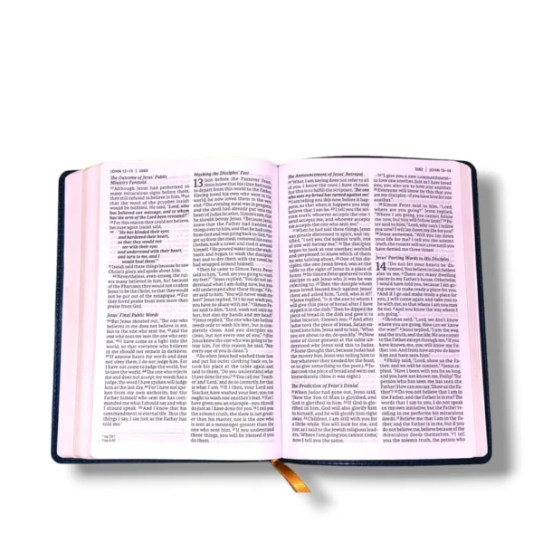 Net Bible Thinline (9)
